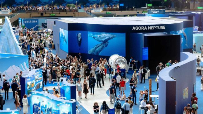 La baleine et les enjeux de l'Unoc, conférence sur les océans à Nice