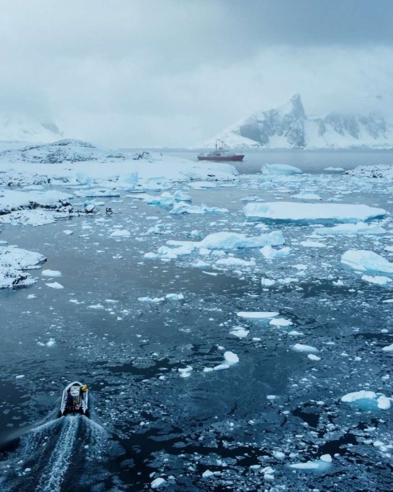 <span class="bsf-rt-reading-time"><span class="bsf-rt-display-label" prefix=""></span> <span class="bsf-rt-display-time" reading_time="5"></span> <span class="bsf-rt-display-postfix" postfix="min"></span></span><!-- .bsf-rt-reading-time -->ocean-austral-CO2 océan Austral CO2