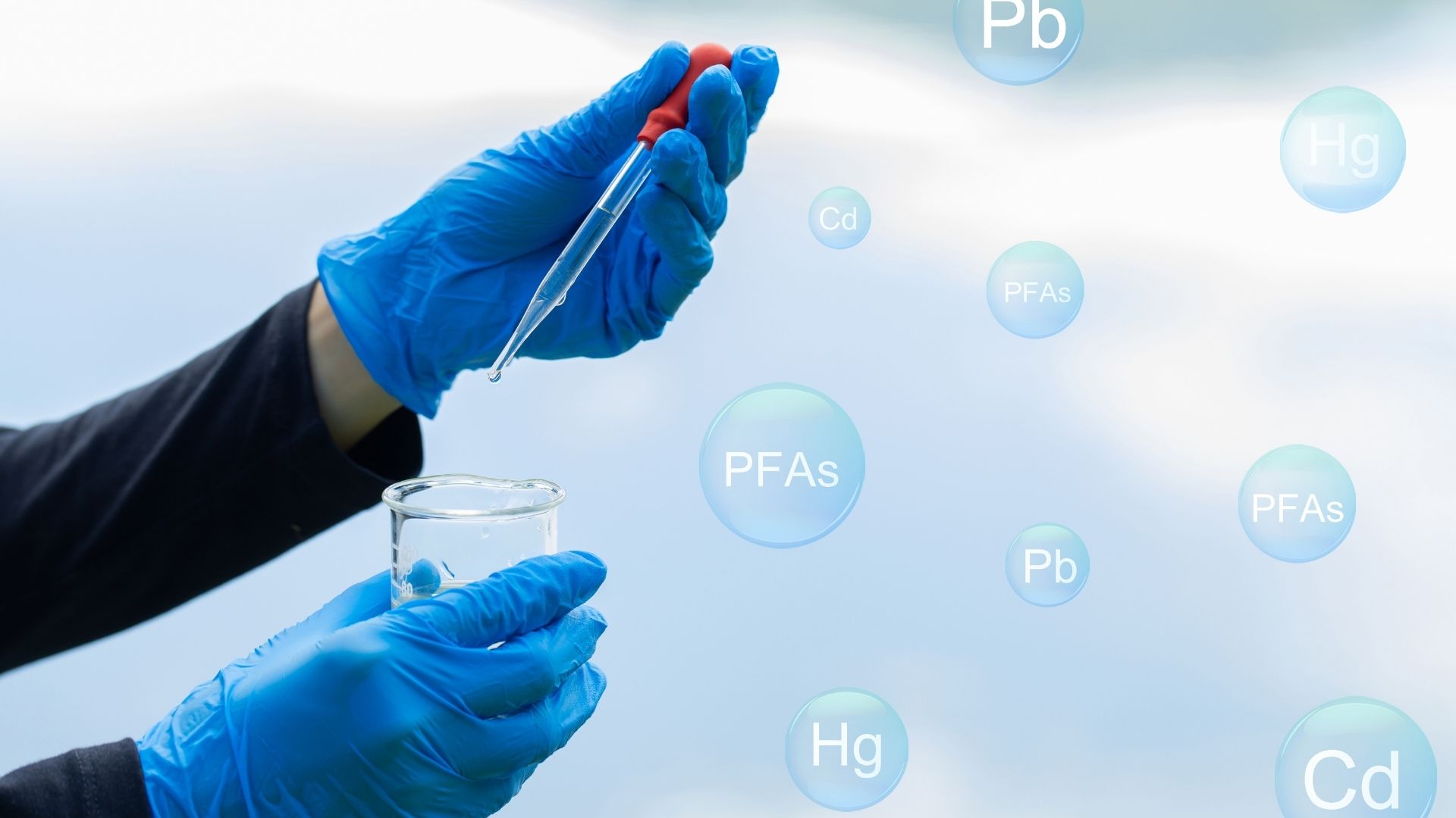 ANSES analyses pfas